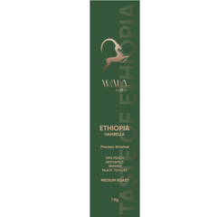 Wala Ethiopia Hambela – Washed Process