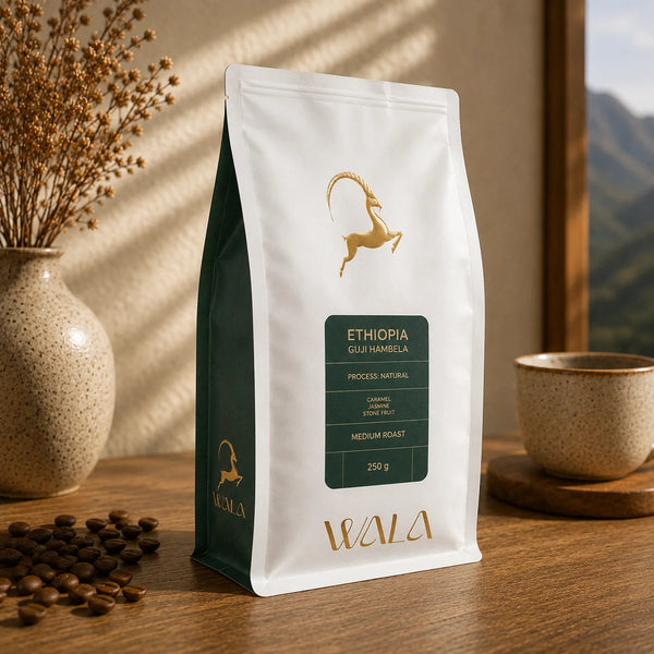 Wala Ethiopia Guji Hambela